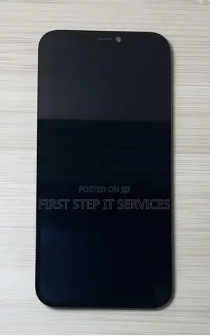 iPhone 12 Icloud Screen