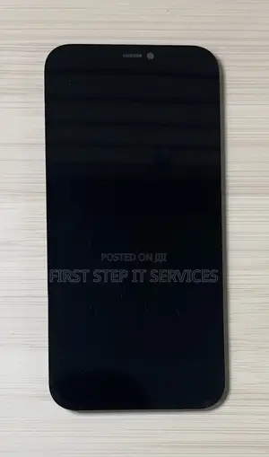 iPhone 12 Icloud Screen