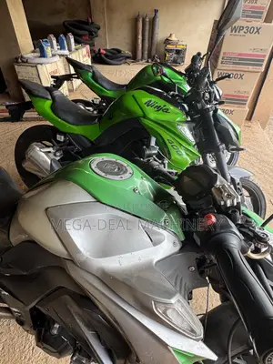 Kawasaki Bike 2025 Green