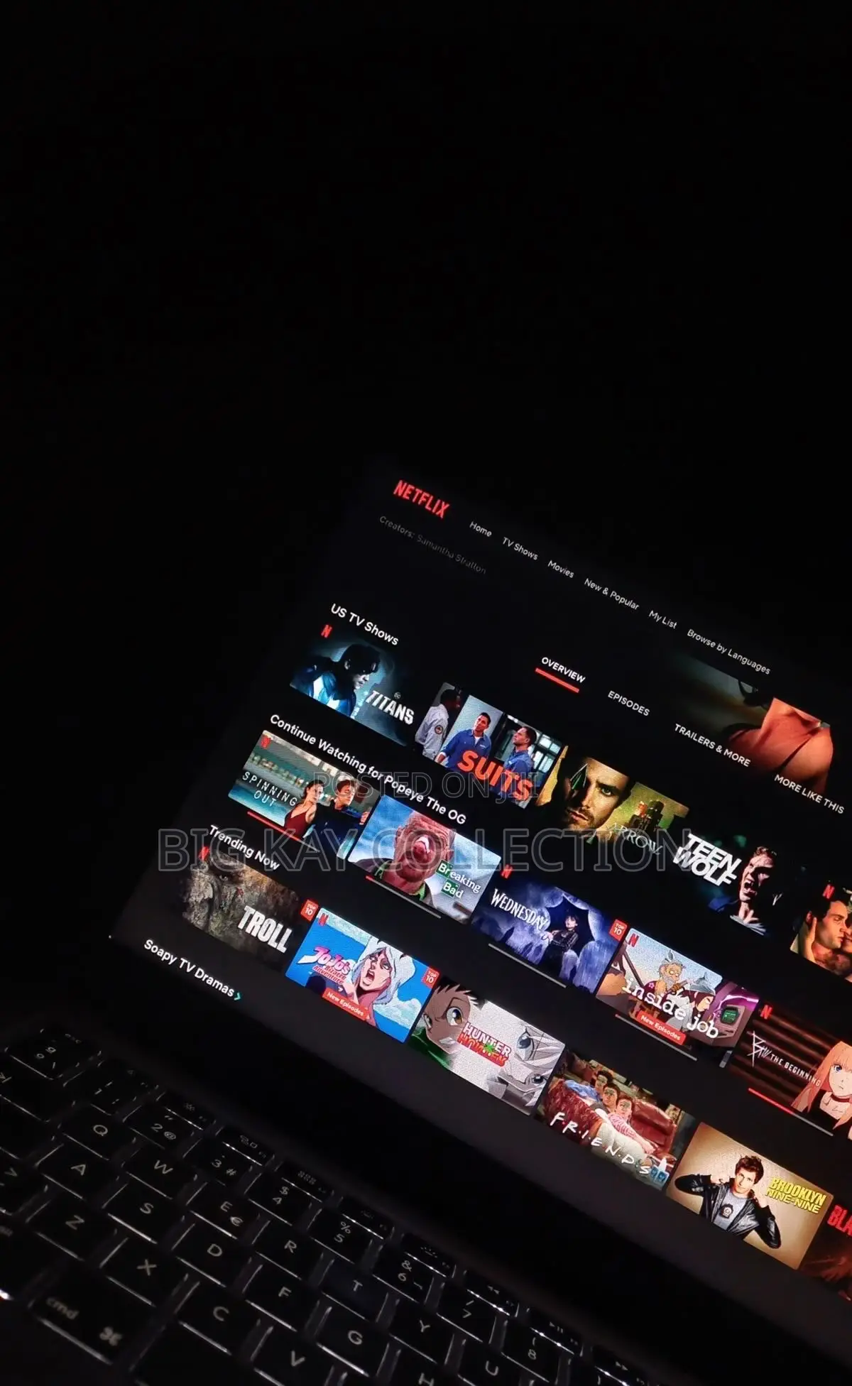 Netflix Subscription