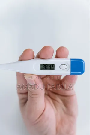 Electronic Thermometer