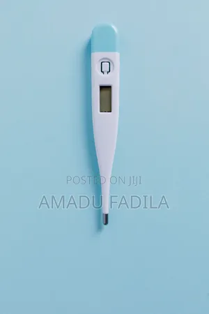 Electronic Thermometer