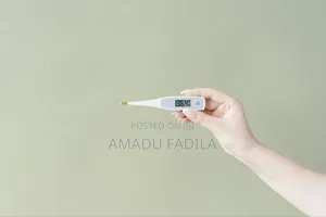 Electronic Thermometer