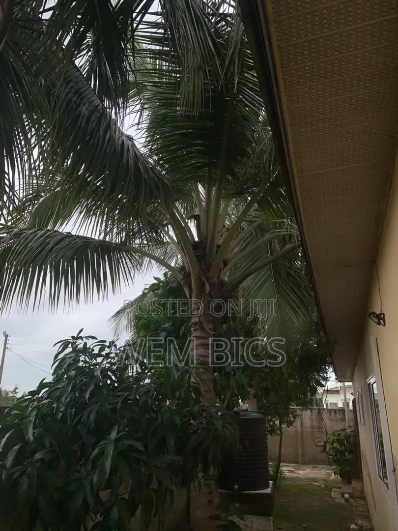 Furnished 3bdrm House in Julius, Community 25 for sale