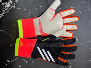 Goalkeepers Gloves
