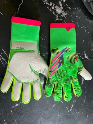 Goalkeepers Gloves
