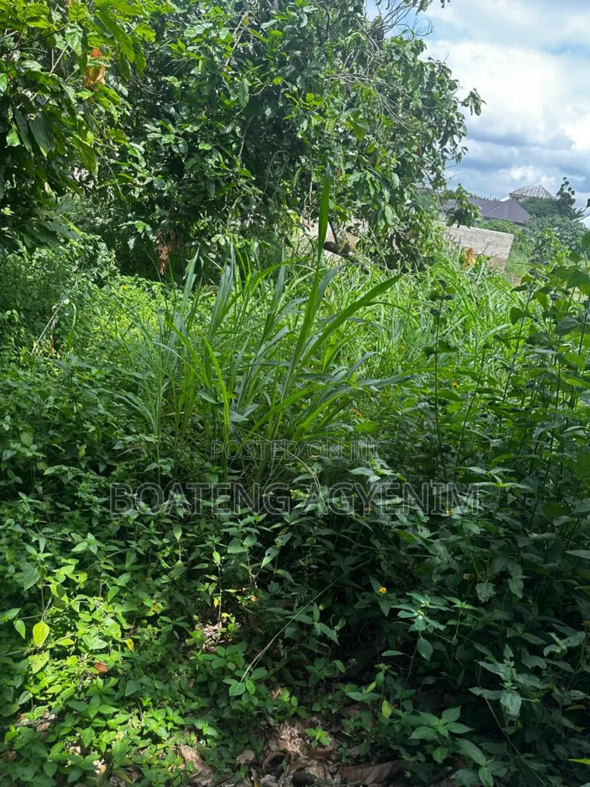 Half Plot in a Residential Area