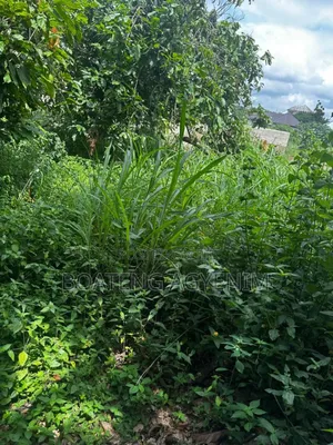 Half Plot in a Residential Area