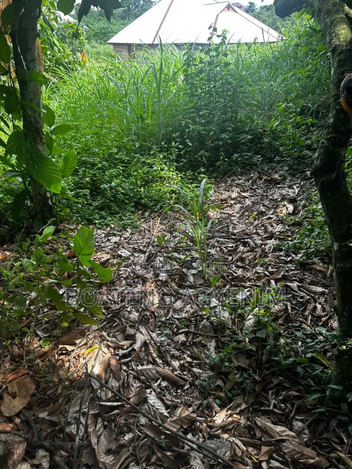 Half Plot in a Residential Area