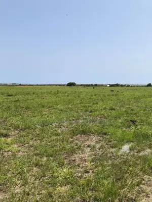 | ./ Tsopoli Estate Lands for Sale (Very Genuine Full Plots)