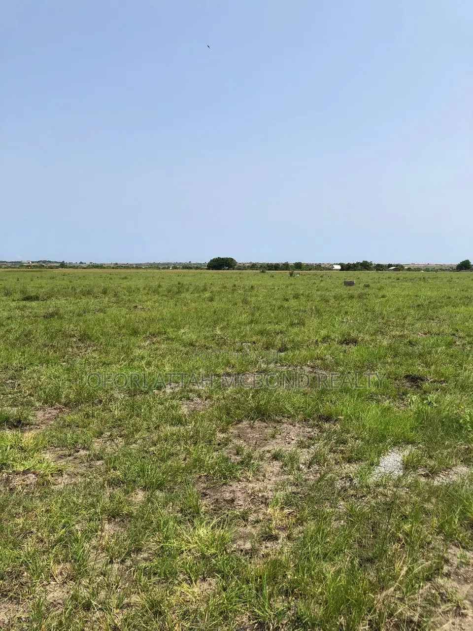 | ./ Tsopoli Estate Lands for Sale (Very Genuine Full Plots)