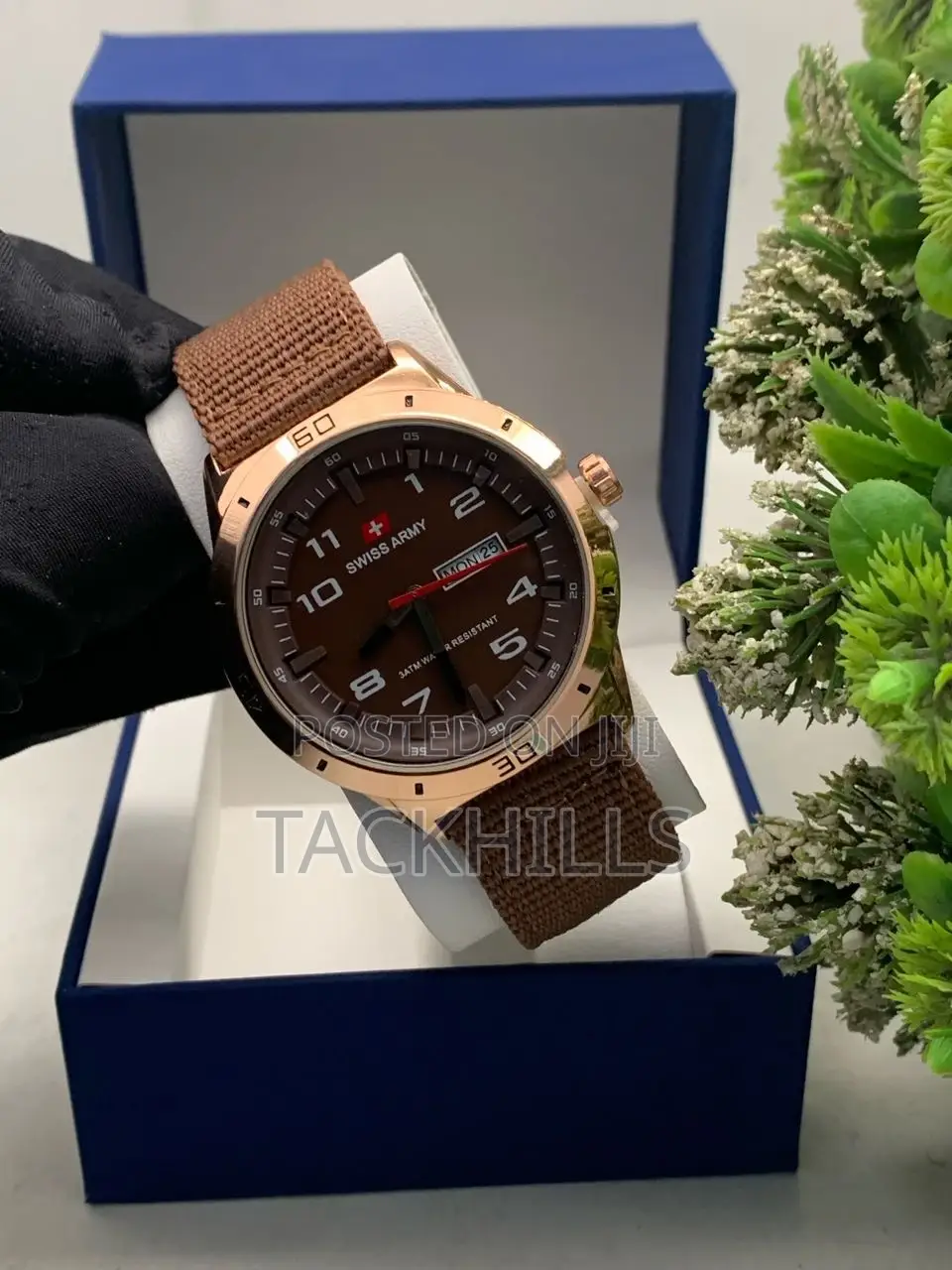 Swiss Army Watches