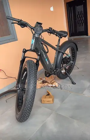 Electric Bikes (E-Bikes)