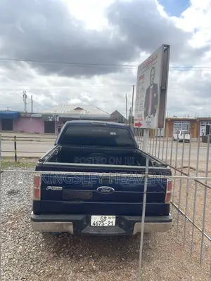 Ford F-150 2011 Gray