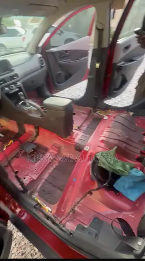 Detailing/Flood Recovery/Car Wash