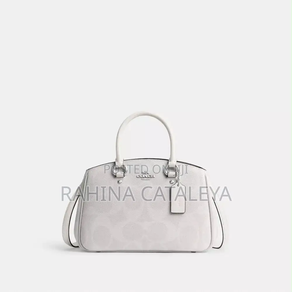 Coach Stylish Bag