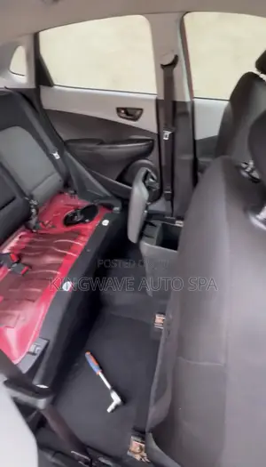 Detailing/Flood Recovery/Car Wash