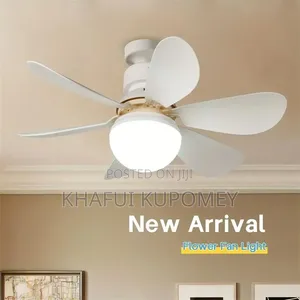 Ceiling Fan