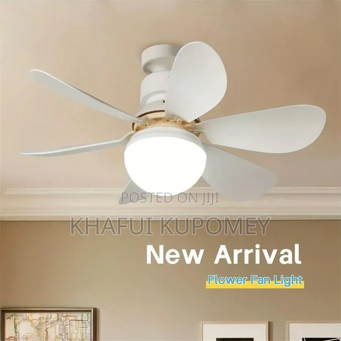 Ceiling Fan