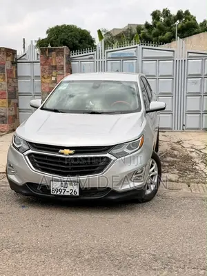 Chevrolet Equinox 2020 Silver
