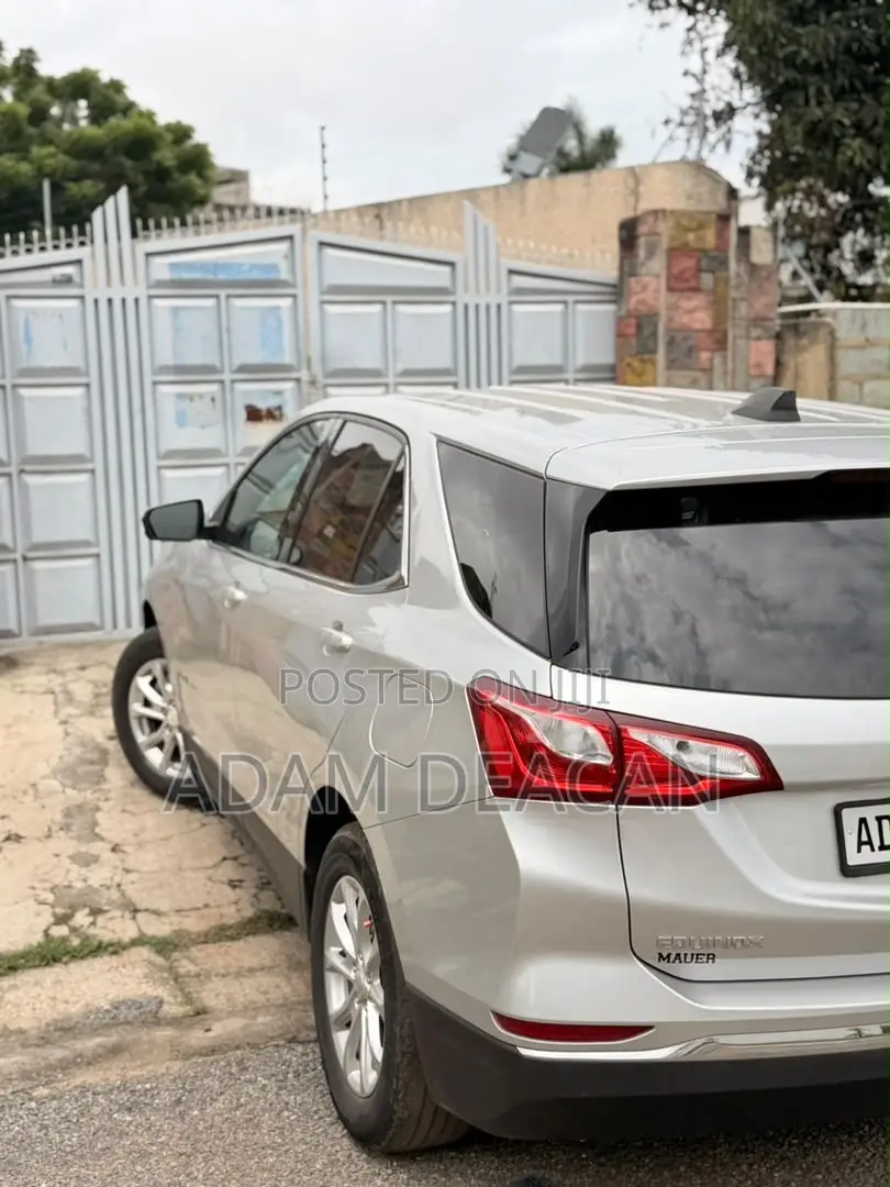 Chevrolet Equinox 2020 Silver