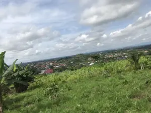 Mountain View Plot of Land