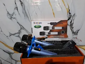 2in1 Wireless Microphone
