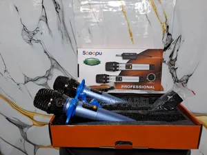 2in1 Wireless Microphone