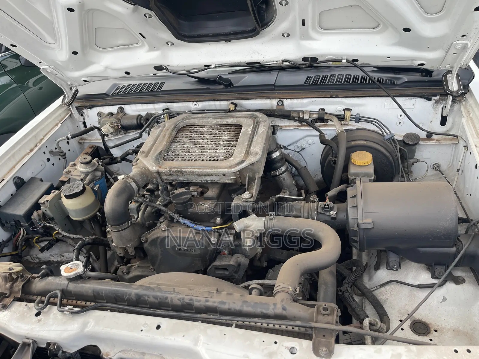 Nissan Hardbody 2019 White
