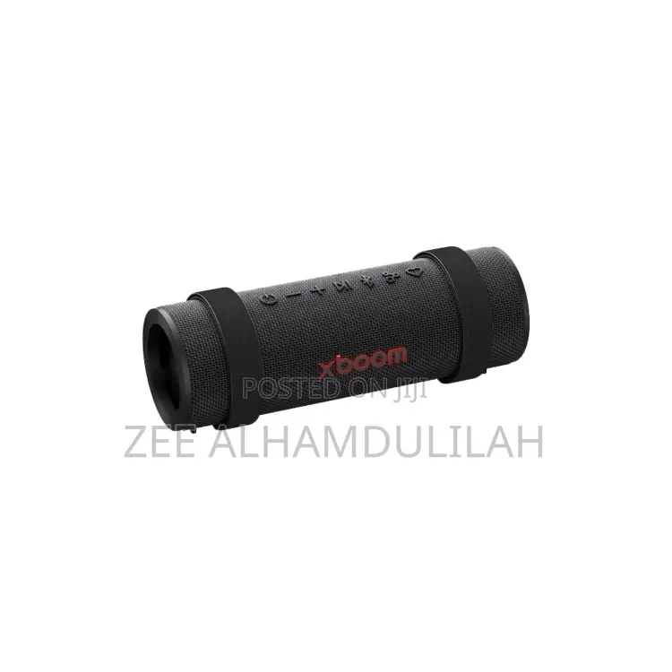 Lg Xboom Grab