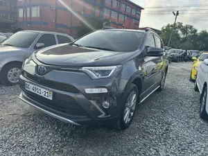 Toyota RAV4 Limited AWD (2.5L 4cyl 6A) 2017 Gray