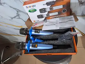 2in1 Wireless Microphone