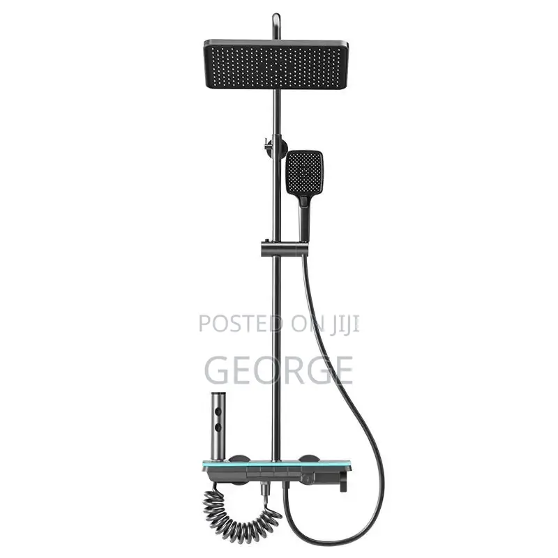 Stainless Bathroom Shower