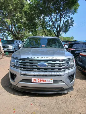 Ford Expedition 2020 Silver