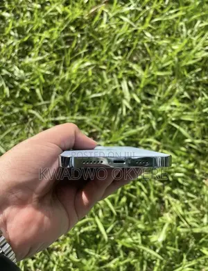 Apple iPhone 13 Pro Max 256 GB Blue