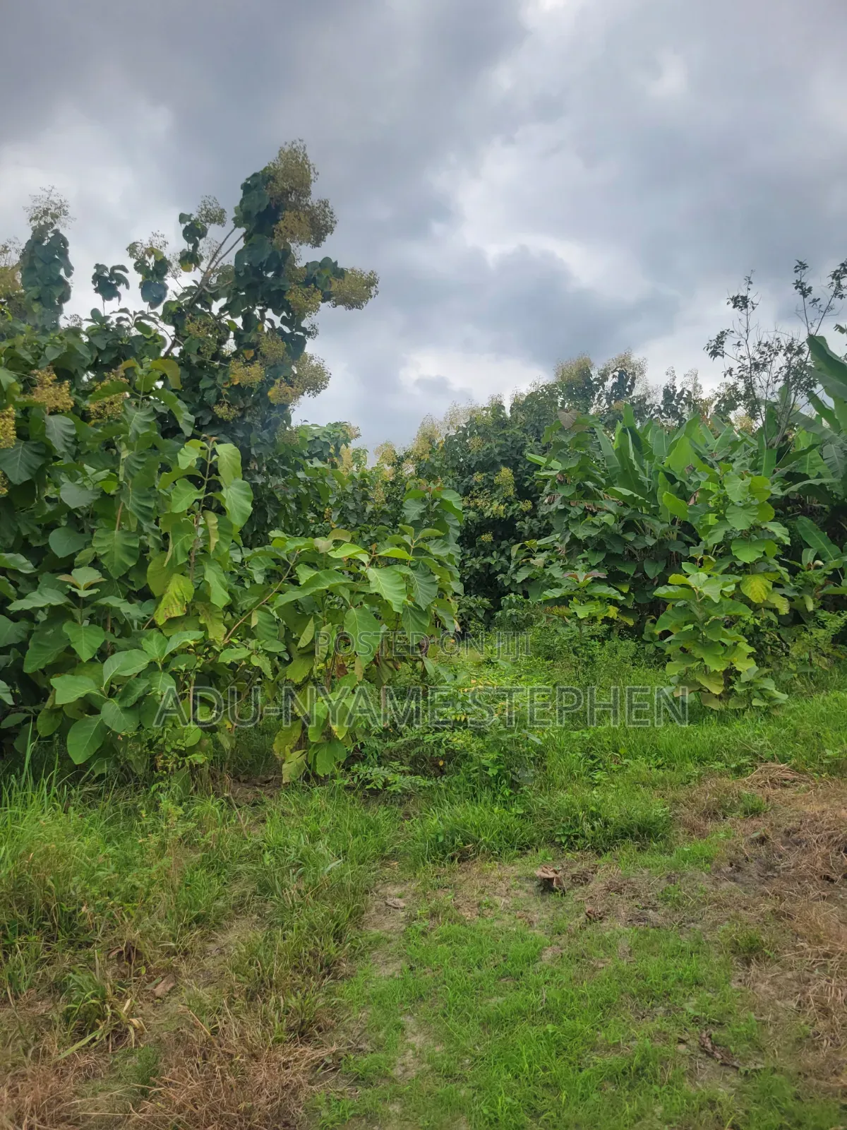 Sale of Plot of Land
