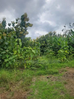 Sale of Plot of Land