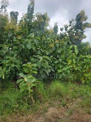 Sale of Plot of Land