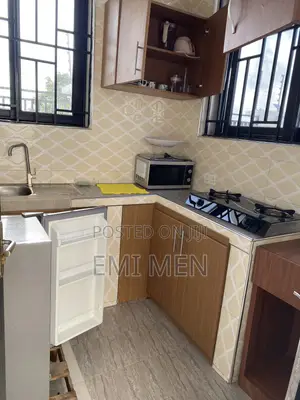 Furnished 1bdrm Apartment in Auntie Aku for rent