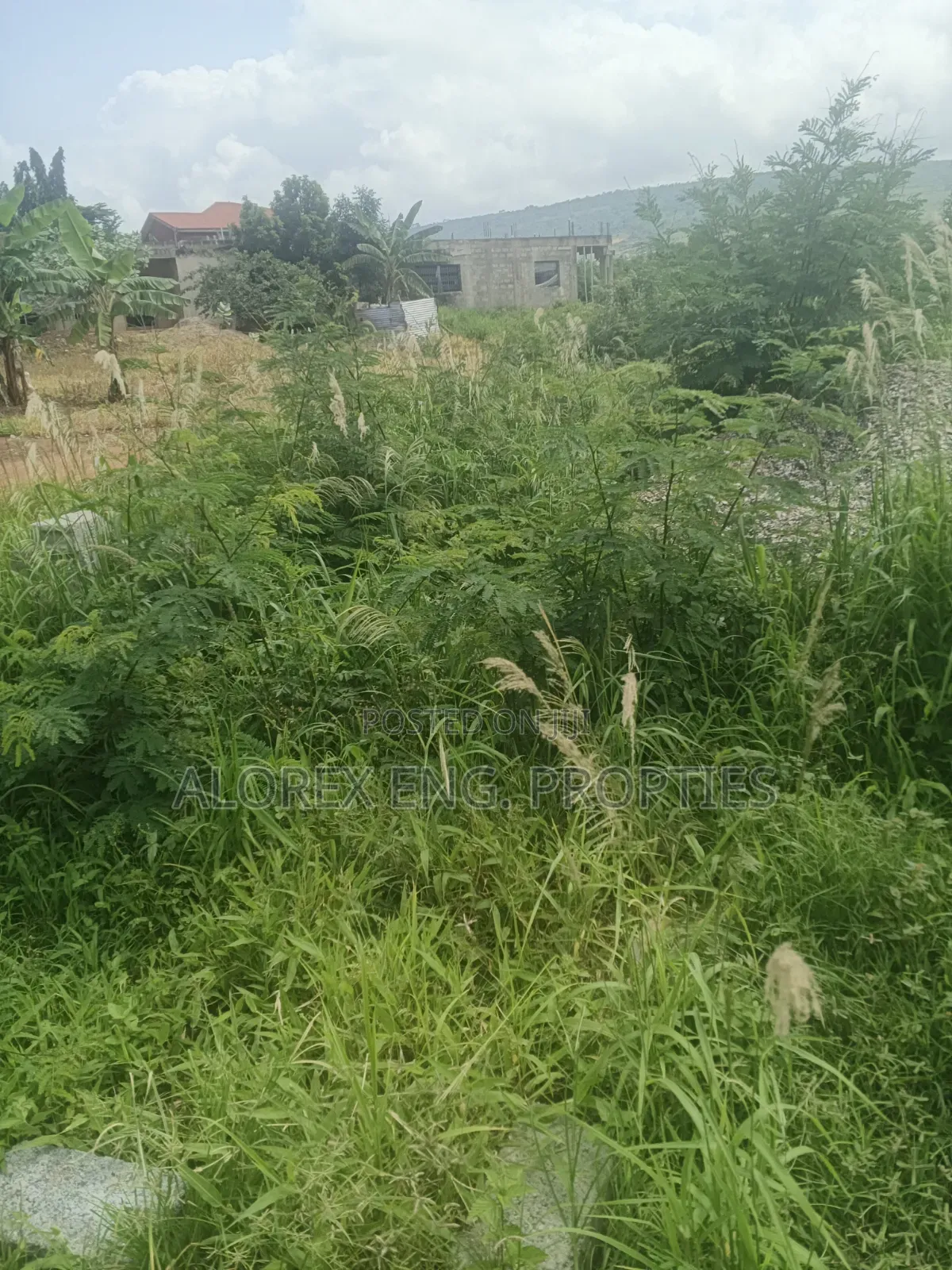 Half Plot for Sale at Oyibi Bawaleshi
