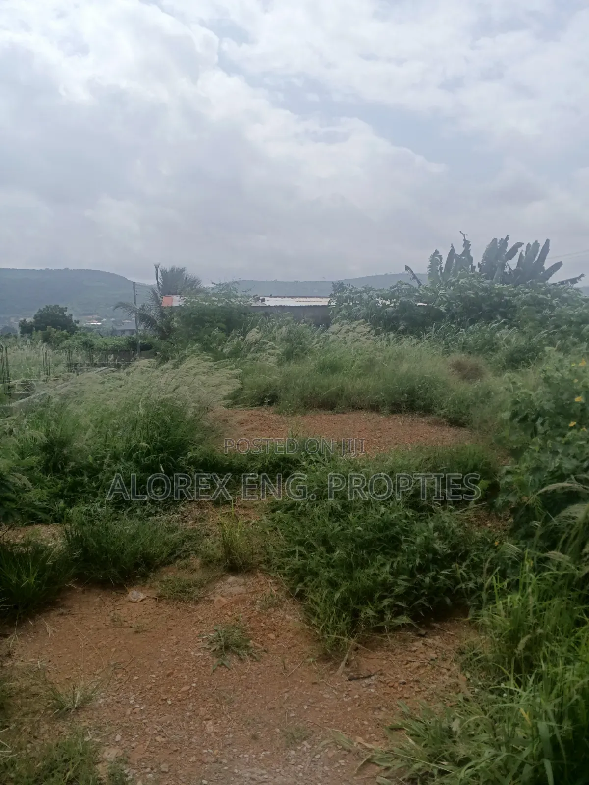 Half Plot for Sale at Oyibi Bawaleshi