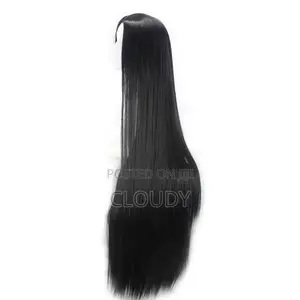 Long Ladies Wig