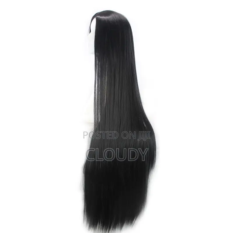 Long Ladies Wig