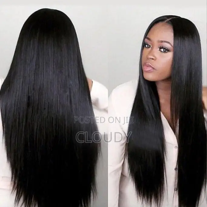 Long Ladies Wig