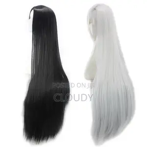 Long Ladies Wig