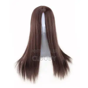Long Ladies Wig