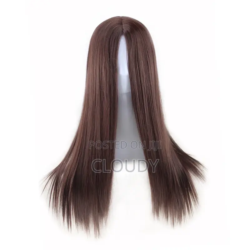 Long Ladies Wig