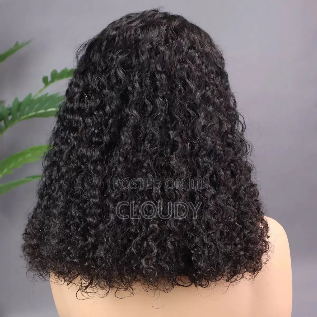 Jelly Curl Bog Wig Human Hair