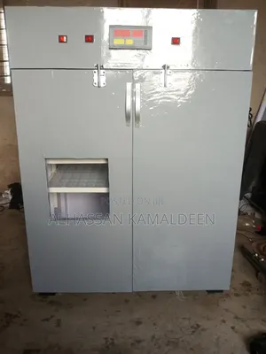 Eggs Incubator