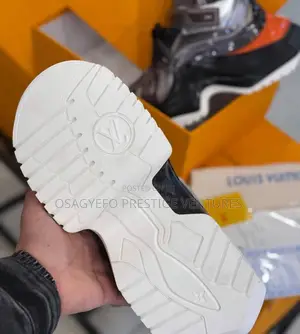 Louis Vuitton Designer Skate Sneaker